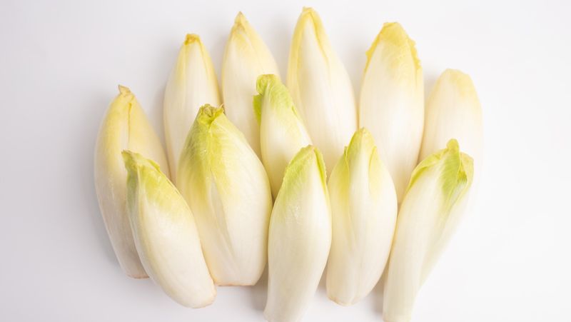 Endive