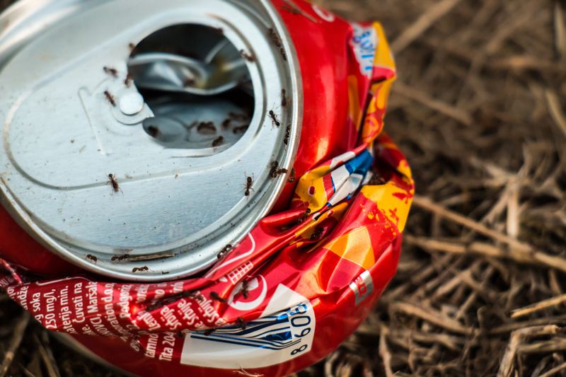 Open Soda Cans