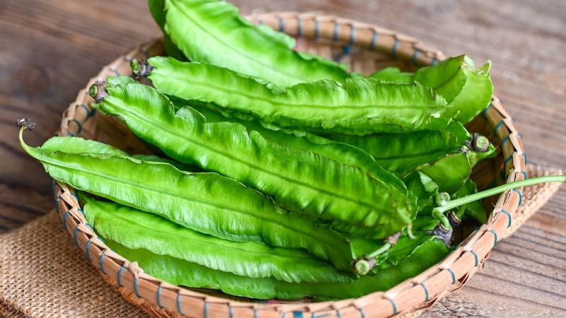 Winged Bean