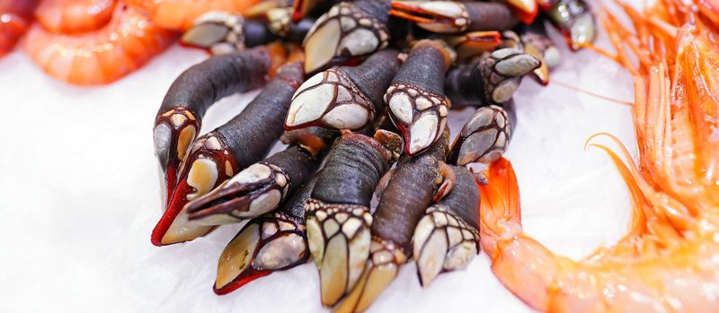 Percebes (Goose Barnacles)