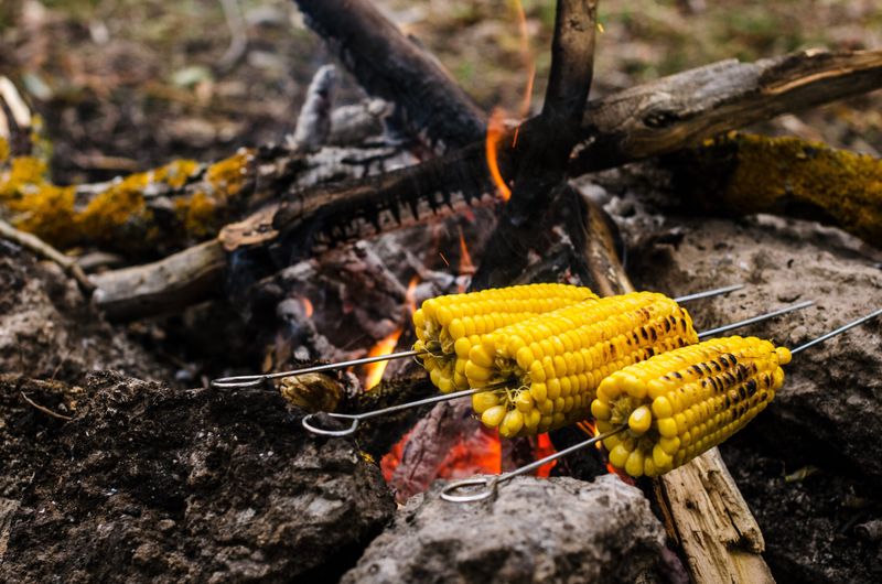 Grilled Corn on the Cob