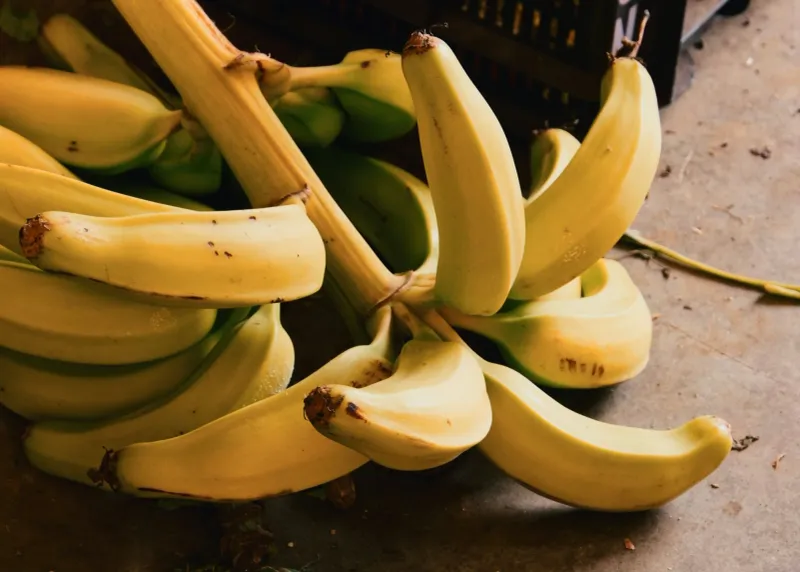 Bananas