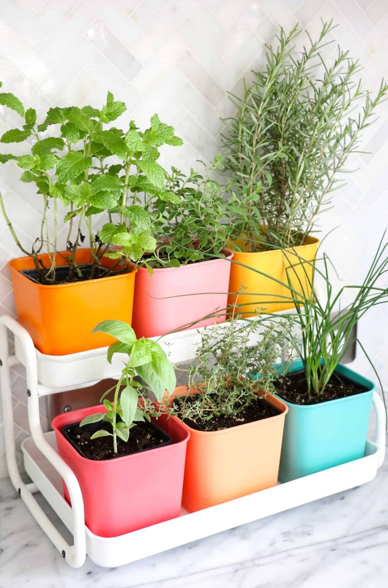 Build a DIY Herb Garden on Your Windowsill