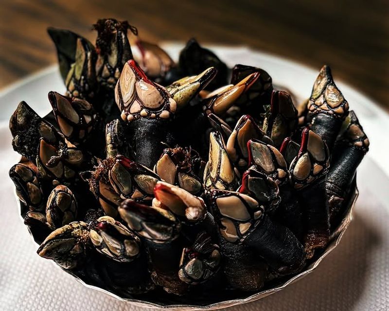Percebes