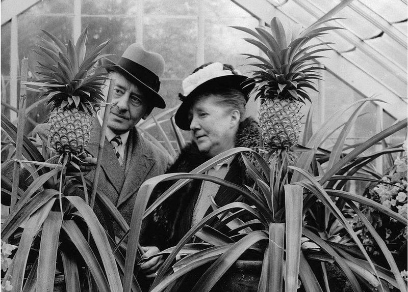 Pineapple