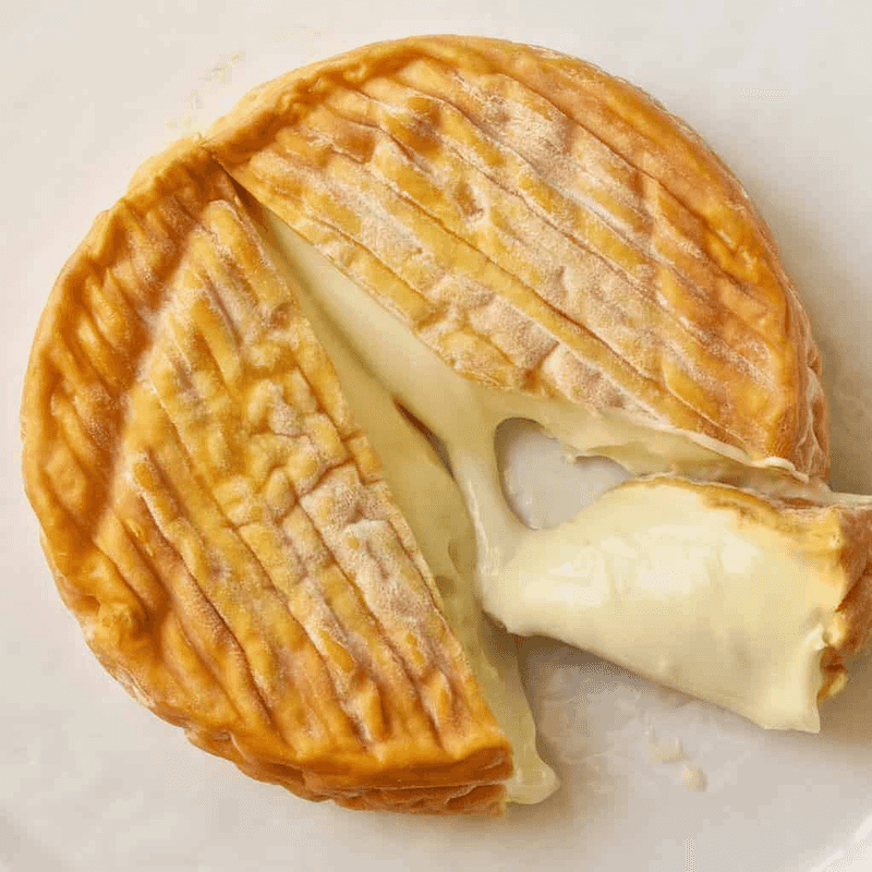 Epoisses (France)