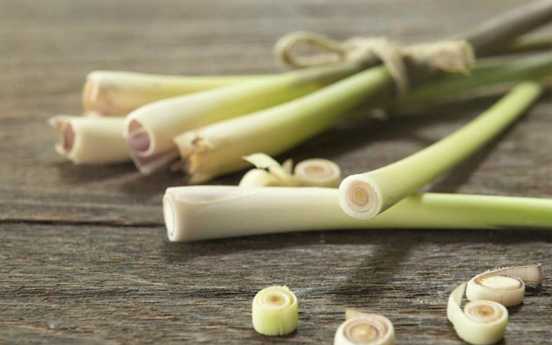 Lemongrass