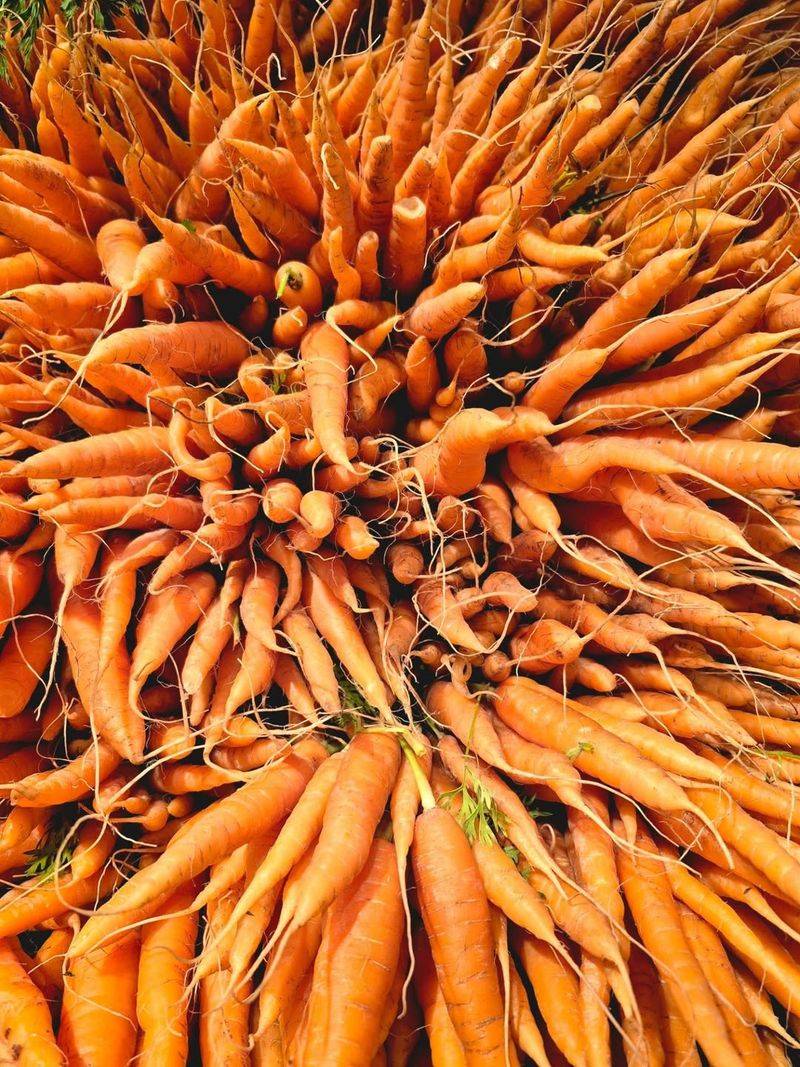 Carrots