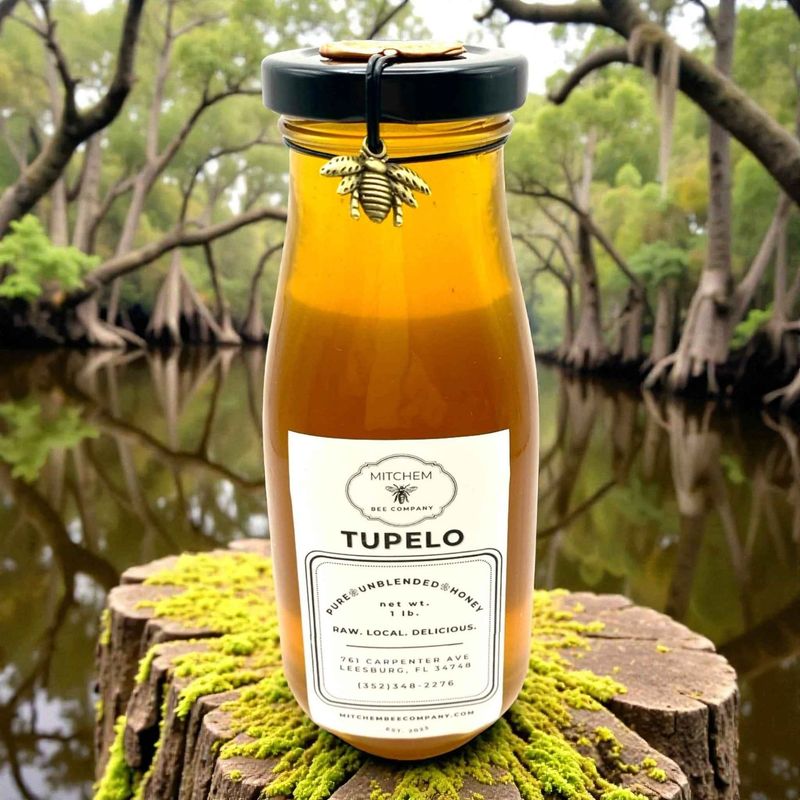 Tupelo Honey