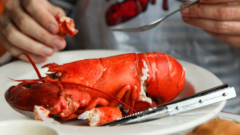 Lobster