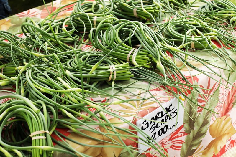 Garlic Scapes