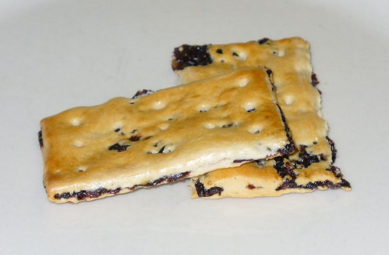 Garibaldi