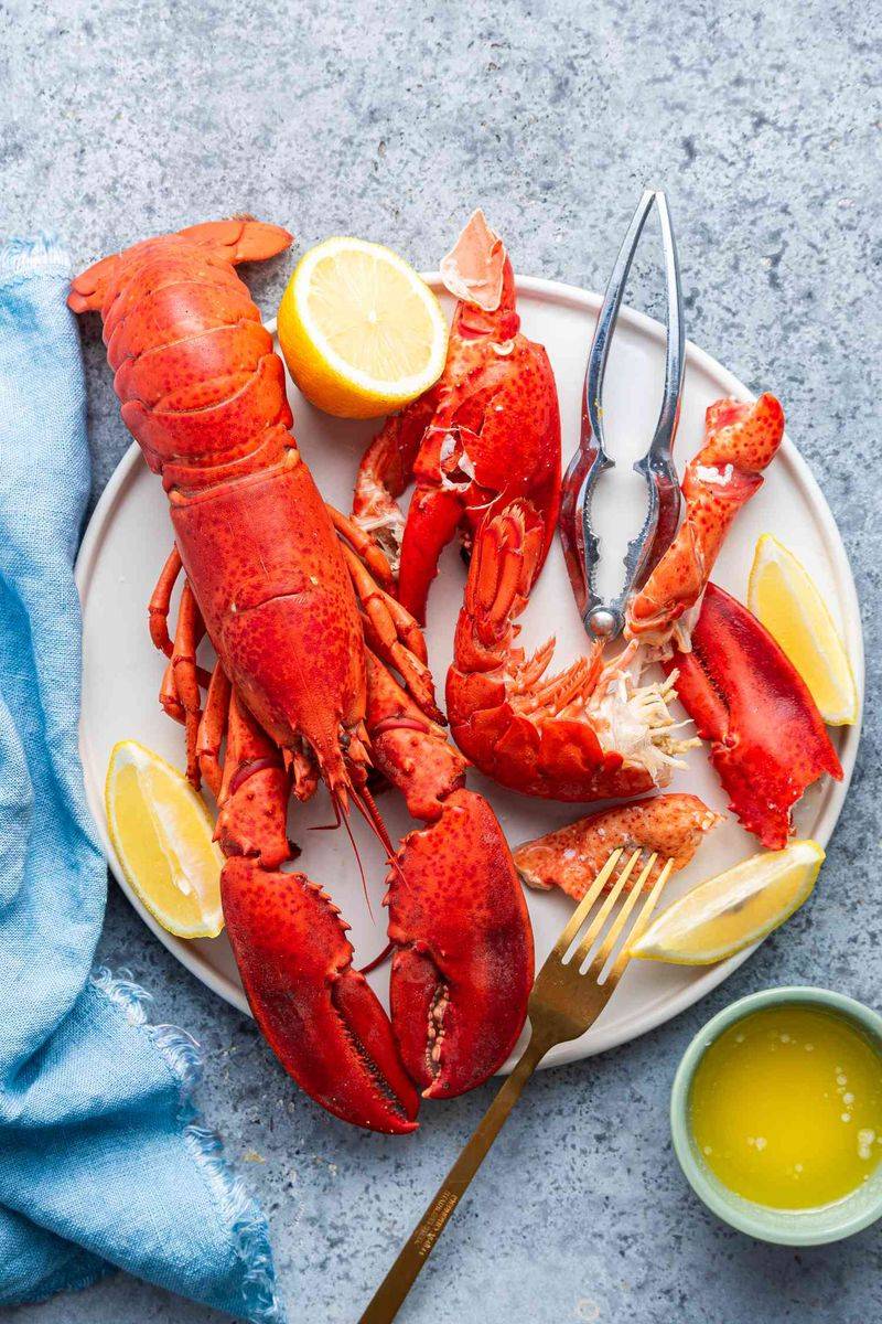 Lobster
