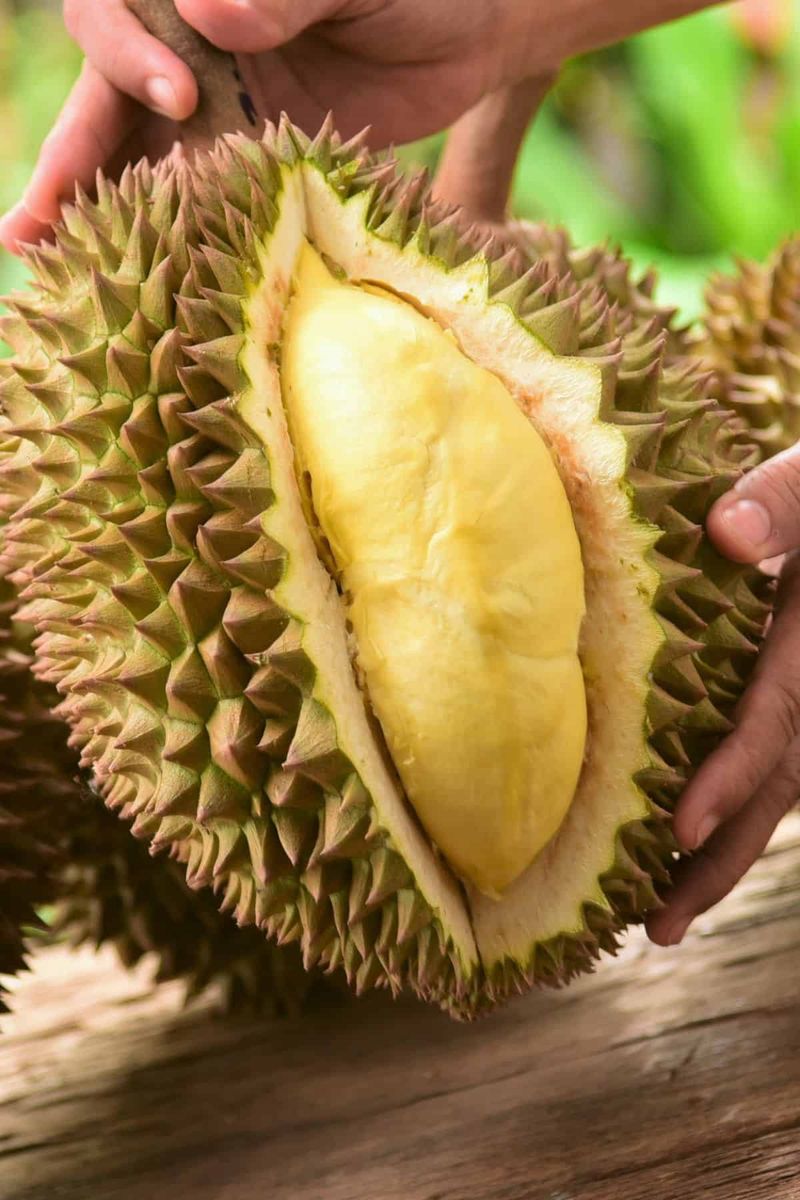 Durian