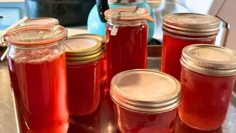 Create a DIY Apple Scrap Jelly