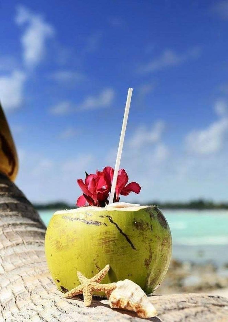 Coconut Water Straight from the Shell