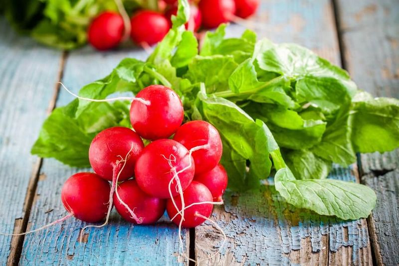 Red Radish