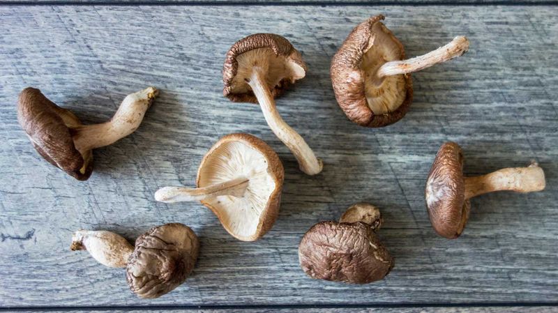 Shiitake Mushrooms