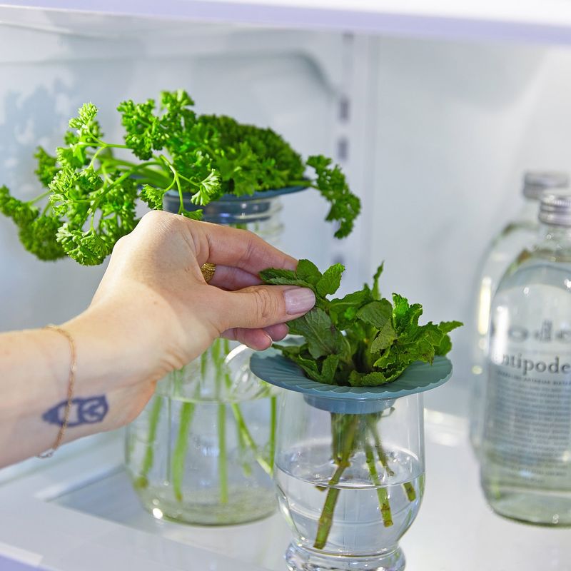Fresh Herbs in a Glass of Water