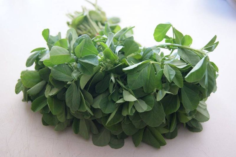 Fenugreek Leaves (Methi)