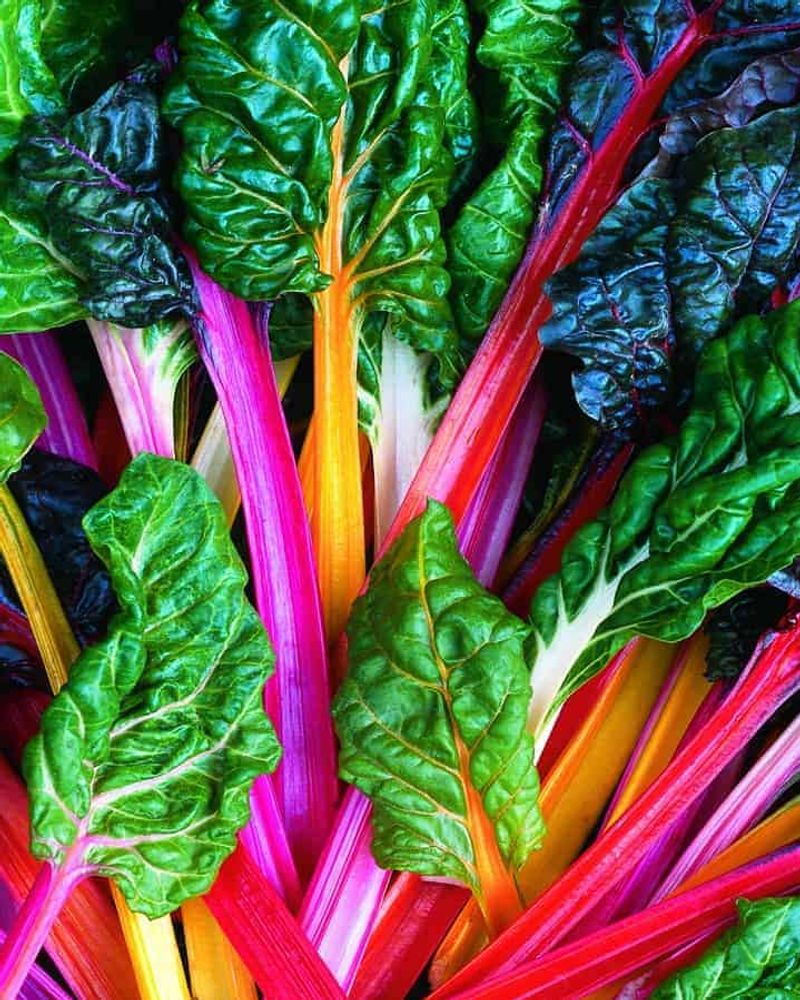 Swiss Chard