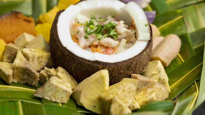 Coconut-Based Cooking in Tropical Islands