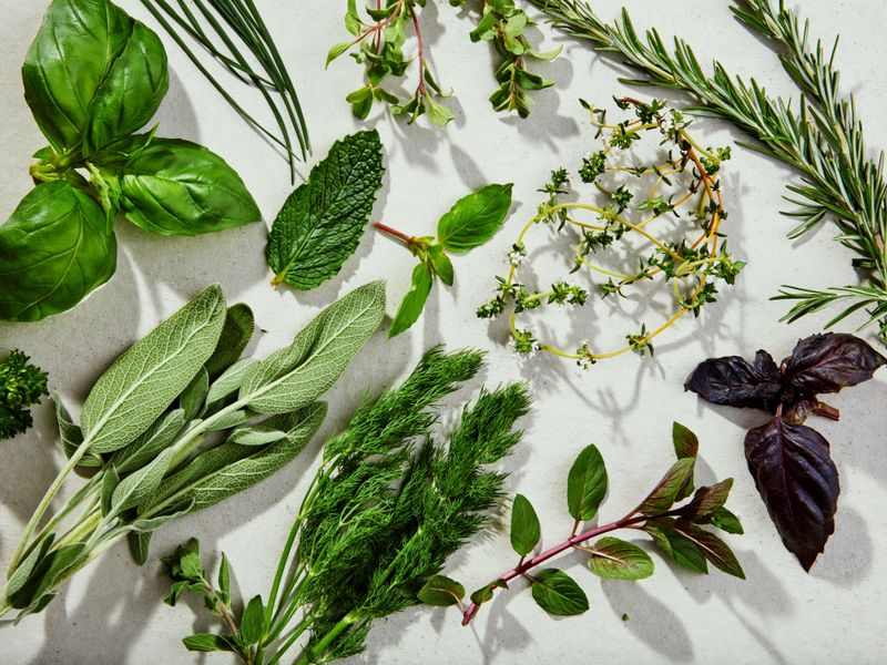 Fresh Herbs