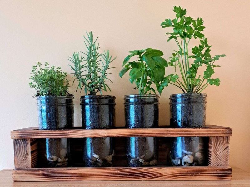 Grow a Small Herb Garden