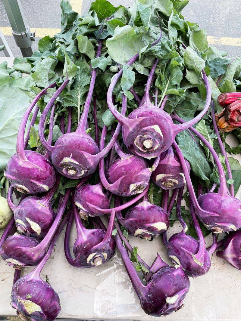 Kohlrabi