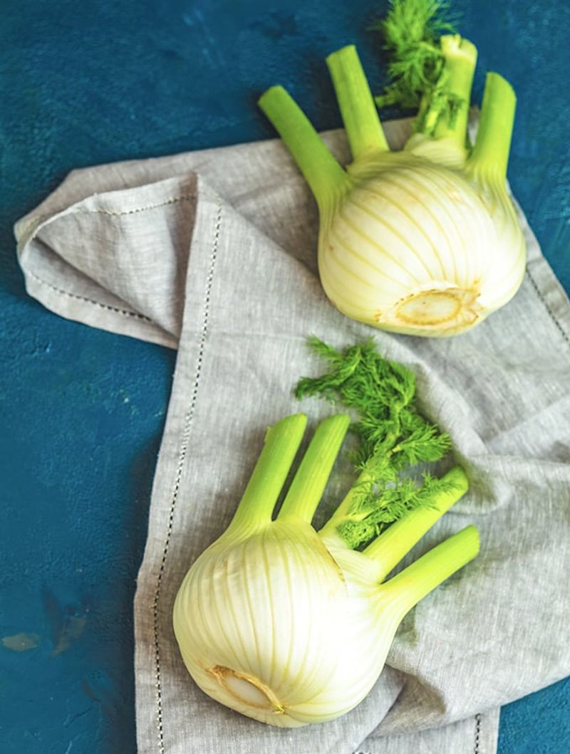 Fennel