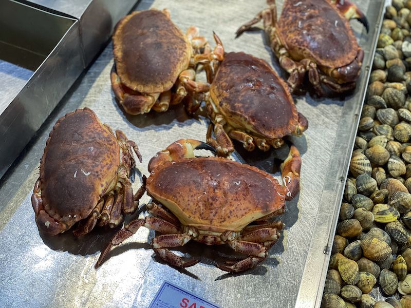 Caranguejos de Setúbal