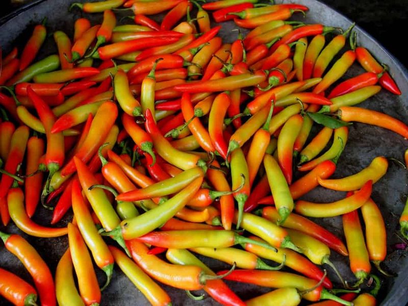 Chili Peppers and Corn in Mesoamerican Cooking