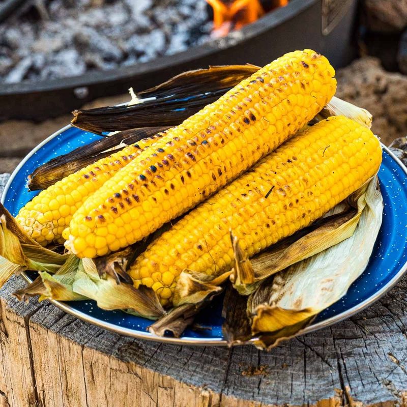 Grilled Corn on the Cob