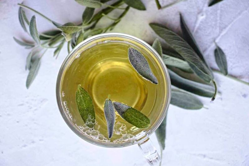 Sage Tea for Sore Throats