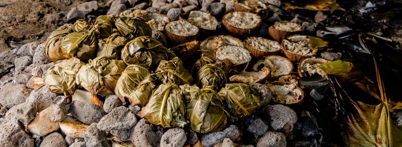 Umu-Cooked Taro (Samoan Stone Feast)