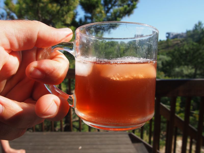 Homemade Root Beer