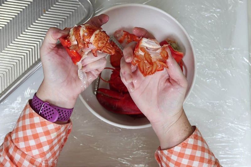 Lobster