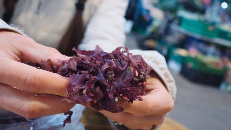 Dulse Crisps (Northern Ireland)