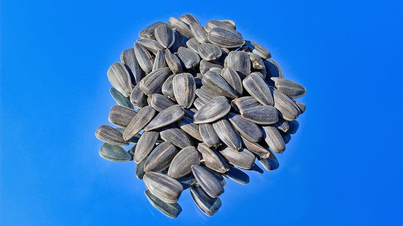 Sunflower Seeds