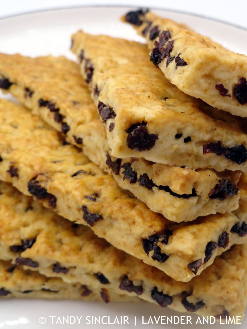 Garibaldi Biscuit