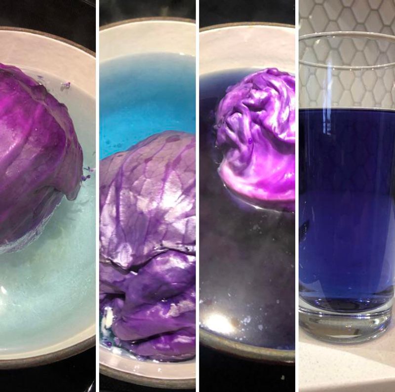 Red Cabbage