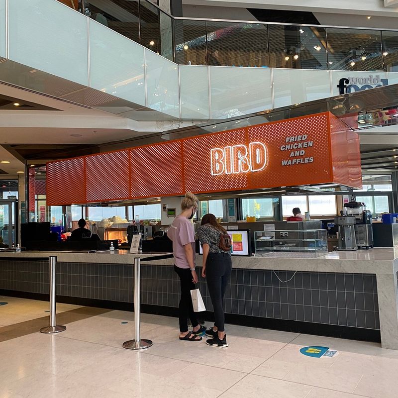 Bird