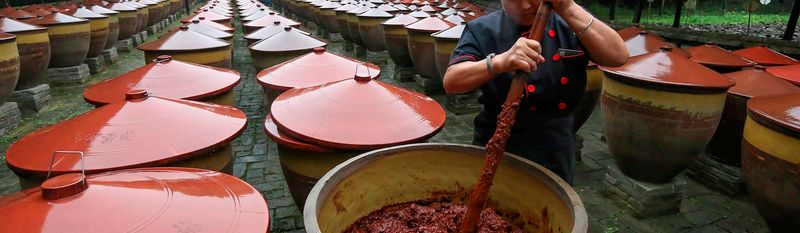 Soy Sauce and Fermented Pastes in East Asia
