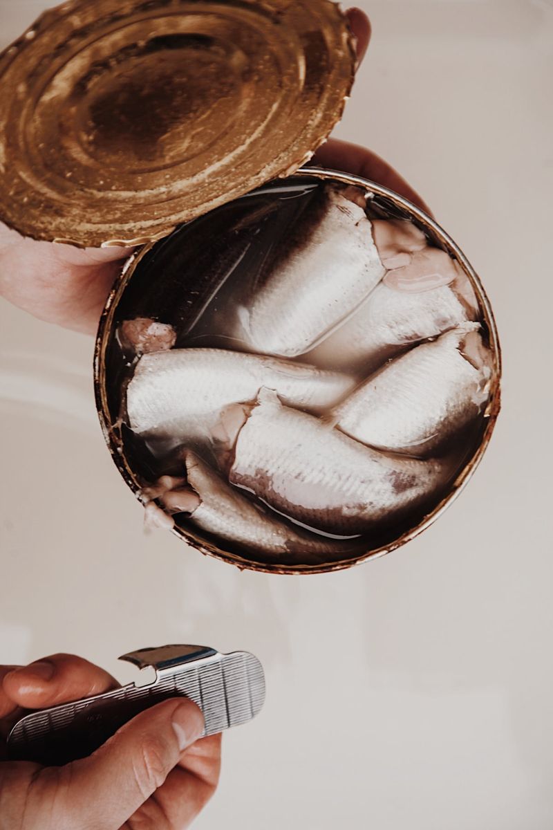 Surströmming (Fermented Herring)