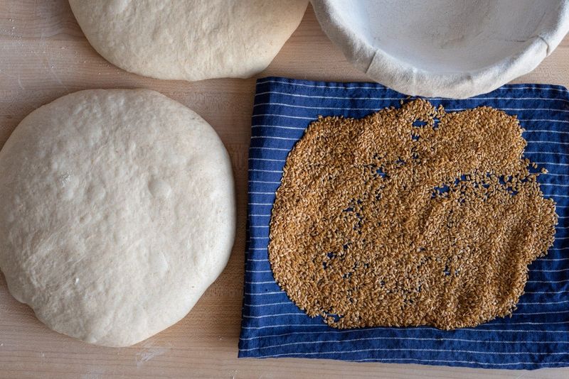 Bread Dough