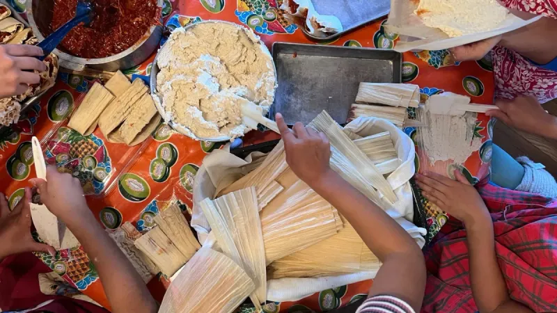 Tamales (Mexico and Central America)