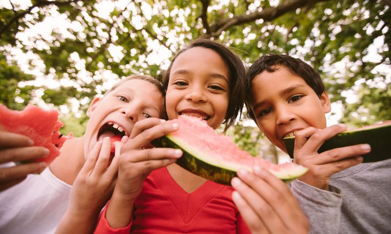 Watermelon Straight From the Rind