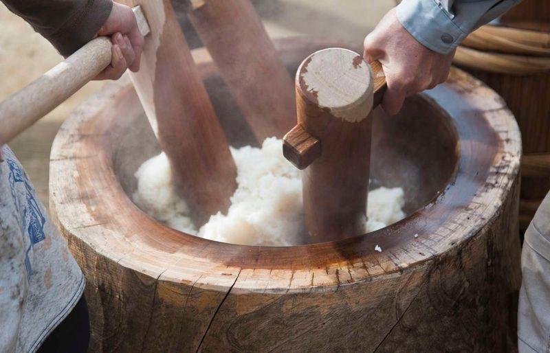 Mochi (Japanese Steamed Rice Cake)