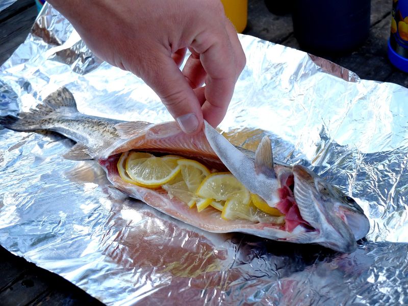 Campfire Trout