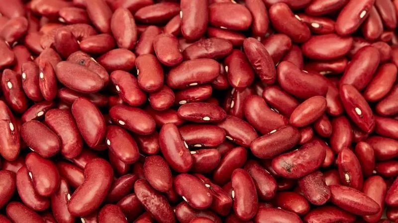Kidney Beans Shape